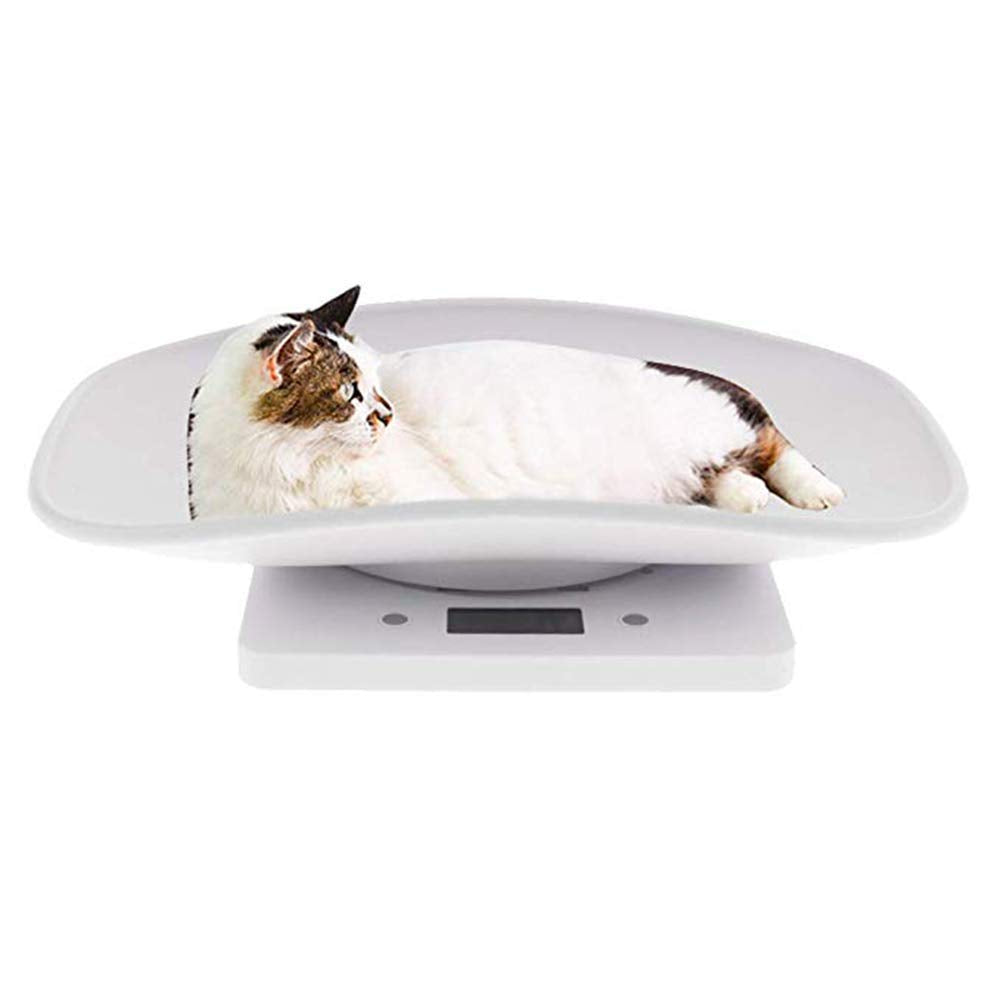 Digital Pet Scale 22 lbs Capacity White A9100