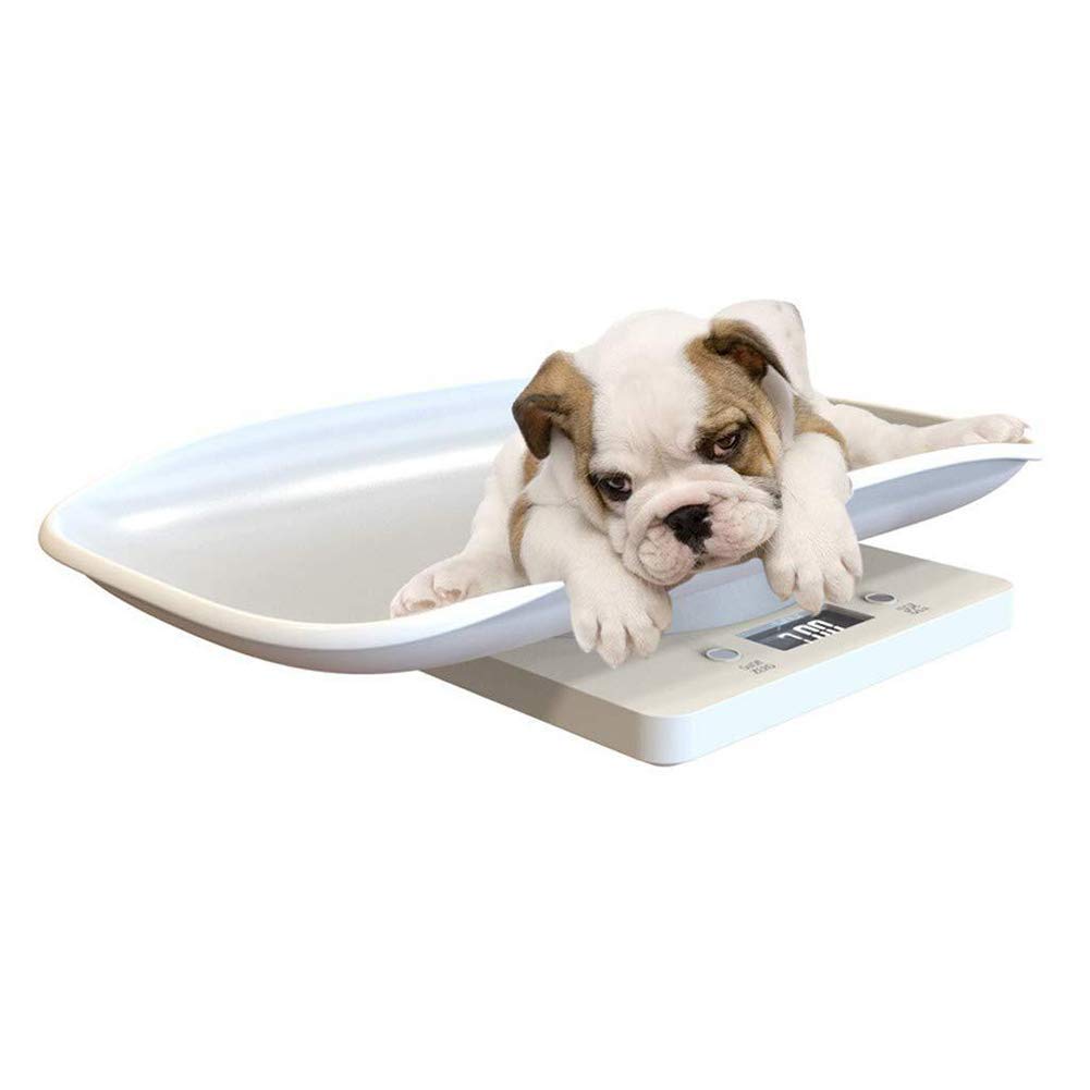 Digital Pet Scale 22 lbs Capacity White A9100