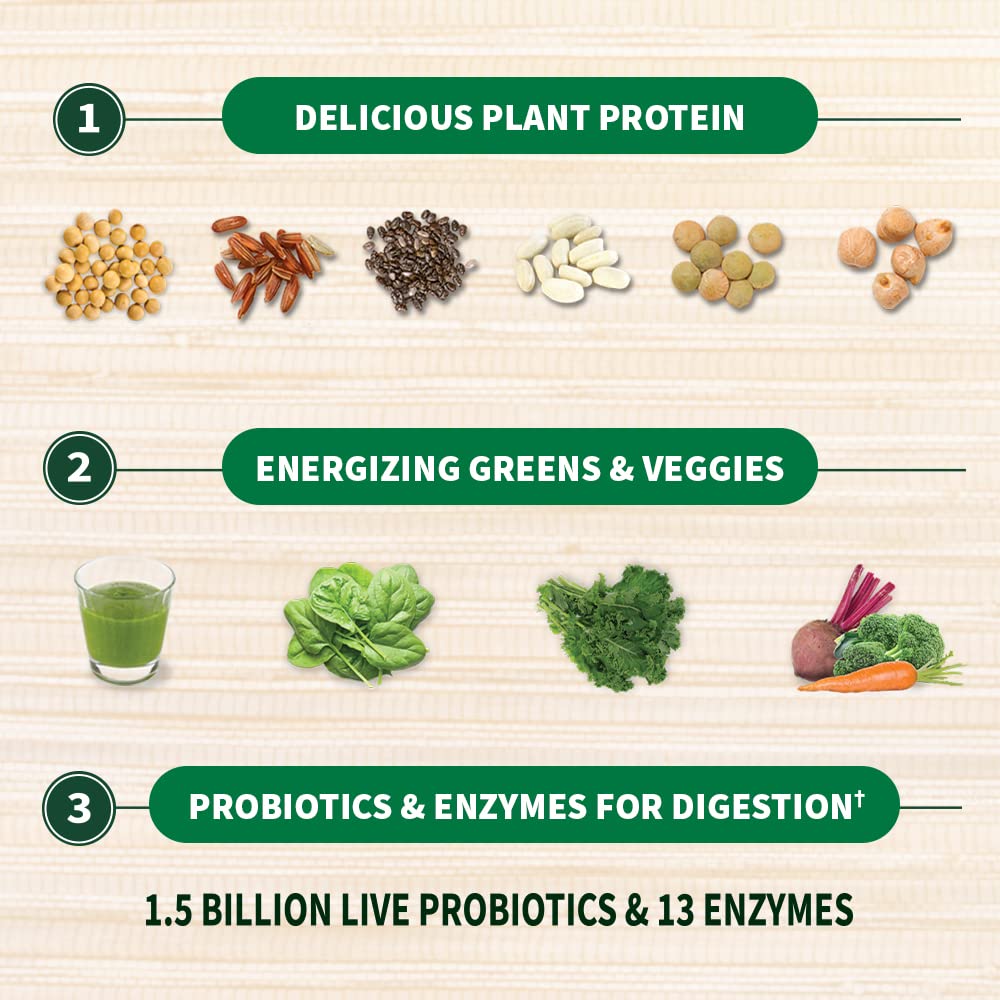 Organic Vegan Protein Powder T734