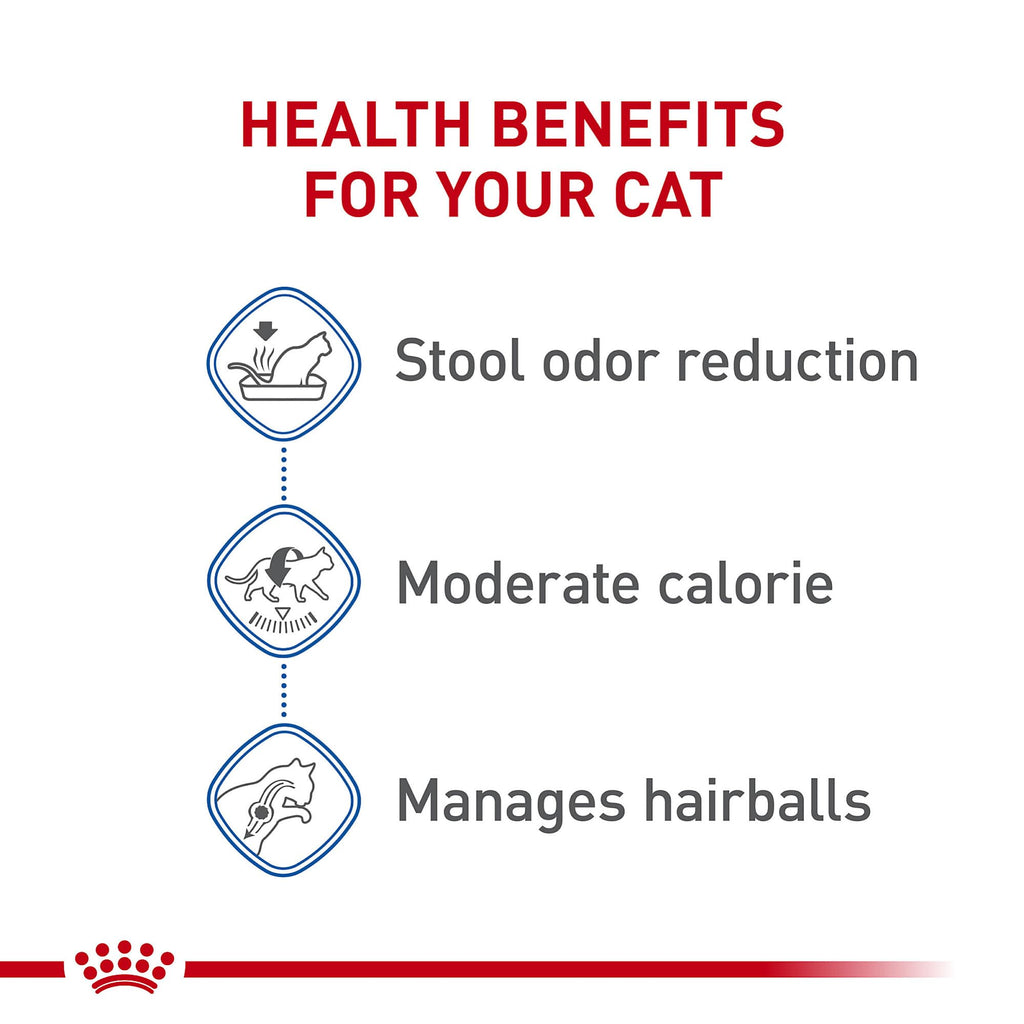 Indoor Adult Dry Cat Food 15 lb Bag N962682