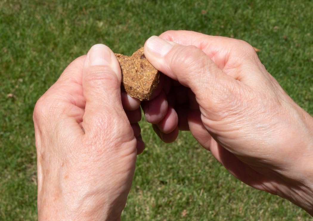 Roasted Duck Grain Free Dog Treats 2-Pack 36oz P7563