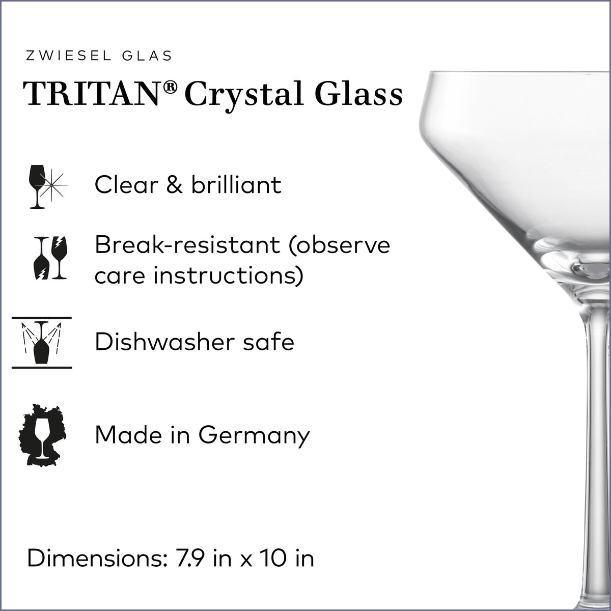 Martini Glass Set of 6 Dishwasher-Safe Tritan Crystal 12.3 Ounce R4925