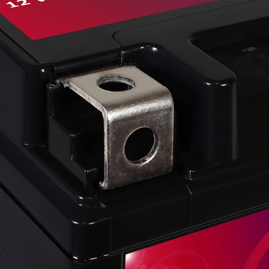 12v 11.2Ah 230CCA Battery V9844