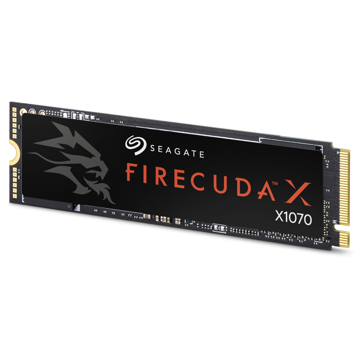 2TB M.2 PCIe Gen4 Internal Solid State Drive SSD P6199