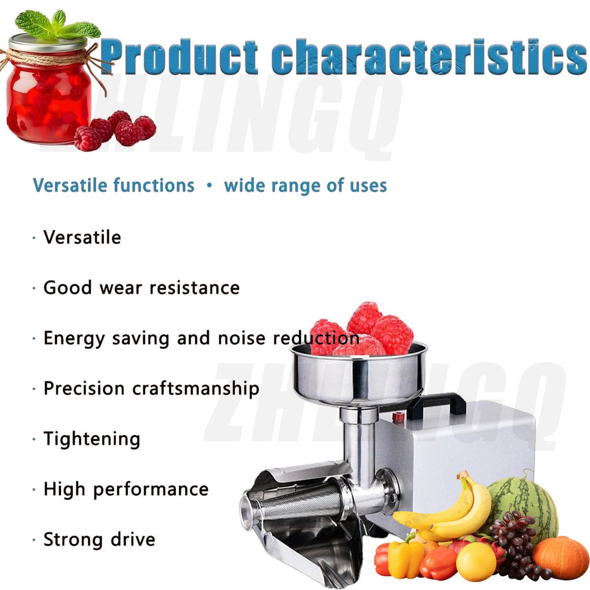 450W Stainless Steel Electric Tomato Strainer D501
