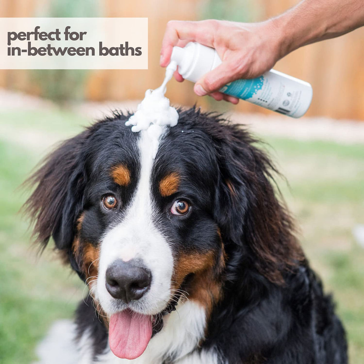 Hypoallergenic Waterless Dog Shampoo 8 fl oz K174