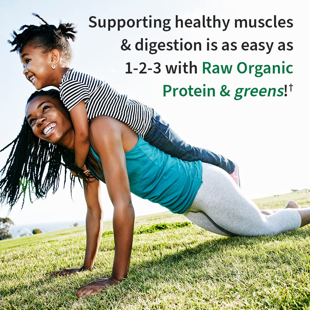 Organic Vegan Protein Powder T734
