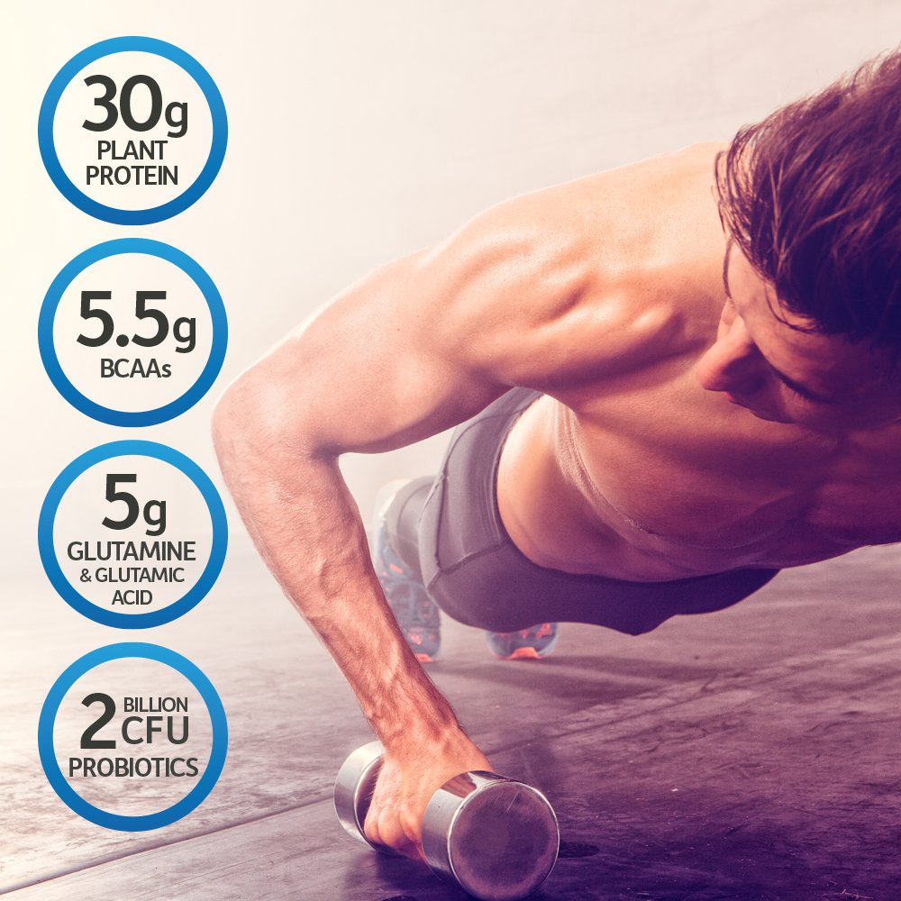 Organic Vegan Protein Powder T734