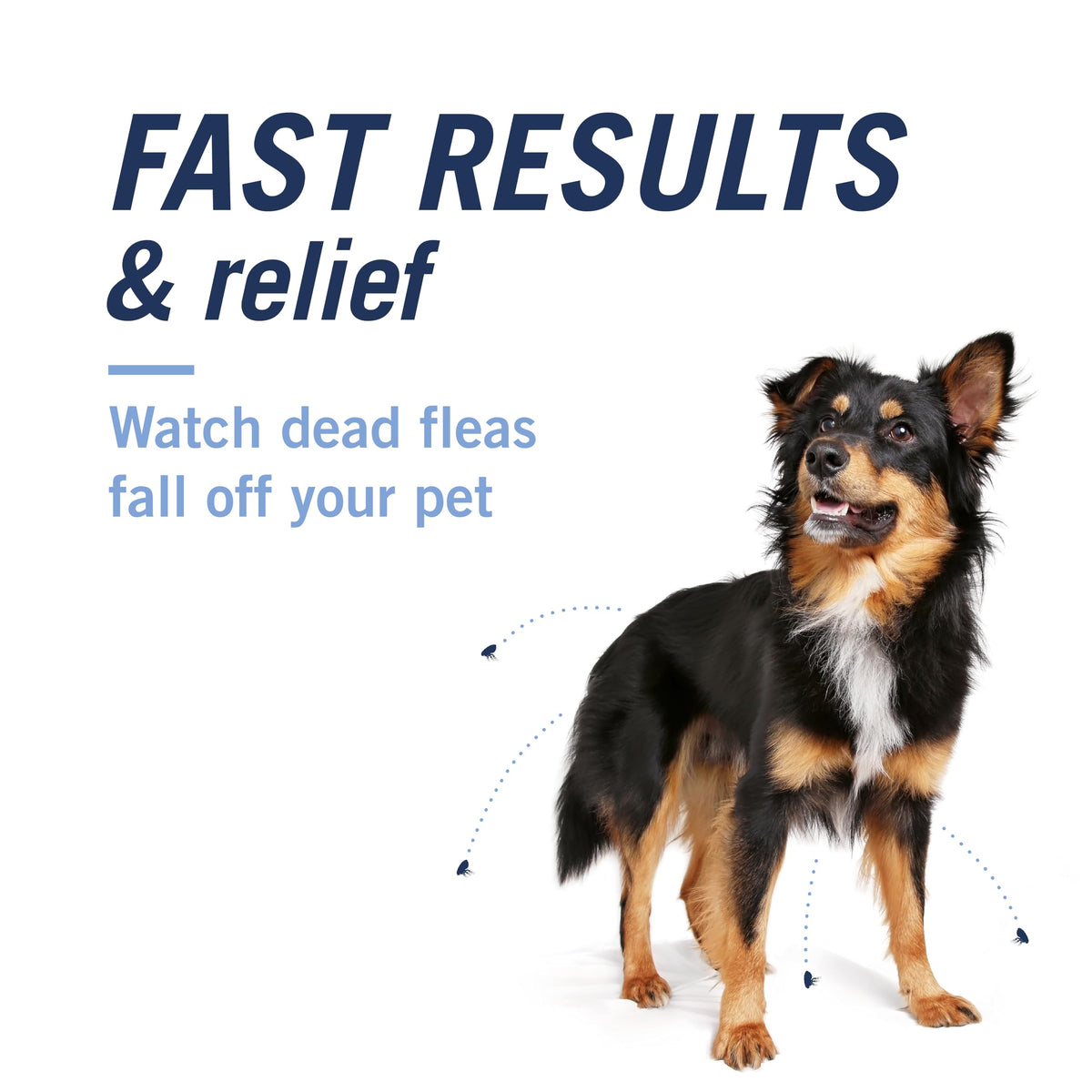 Oral Flea Tablets Dogs 2-25 lbs, Nitenpyram, 6-Dose O4371