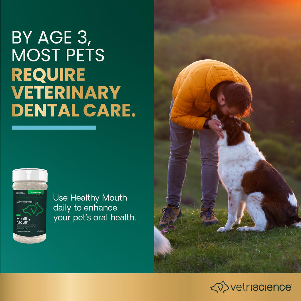 Dental Care Powder for Dogs and Cats, 4.2 oz L1032