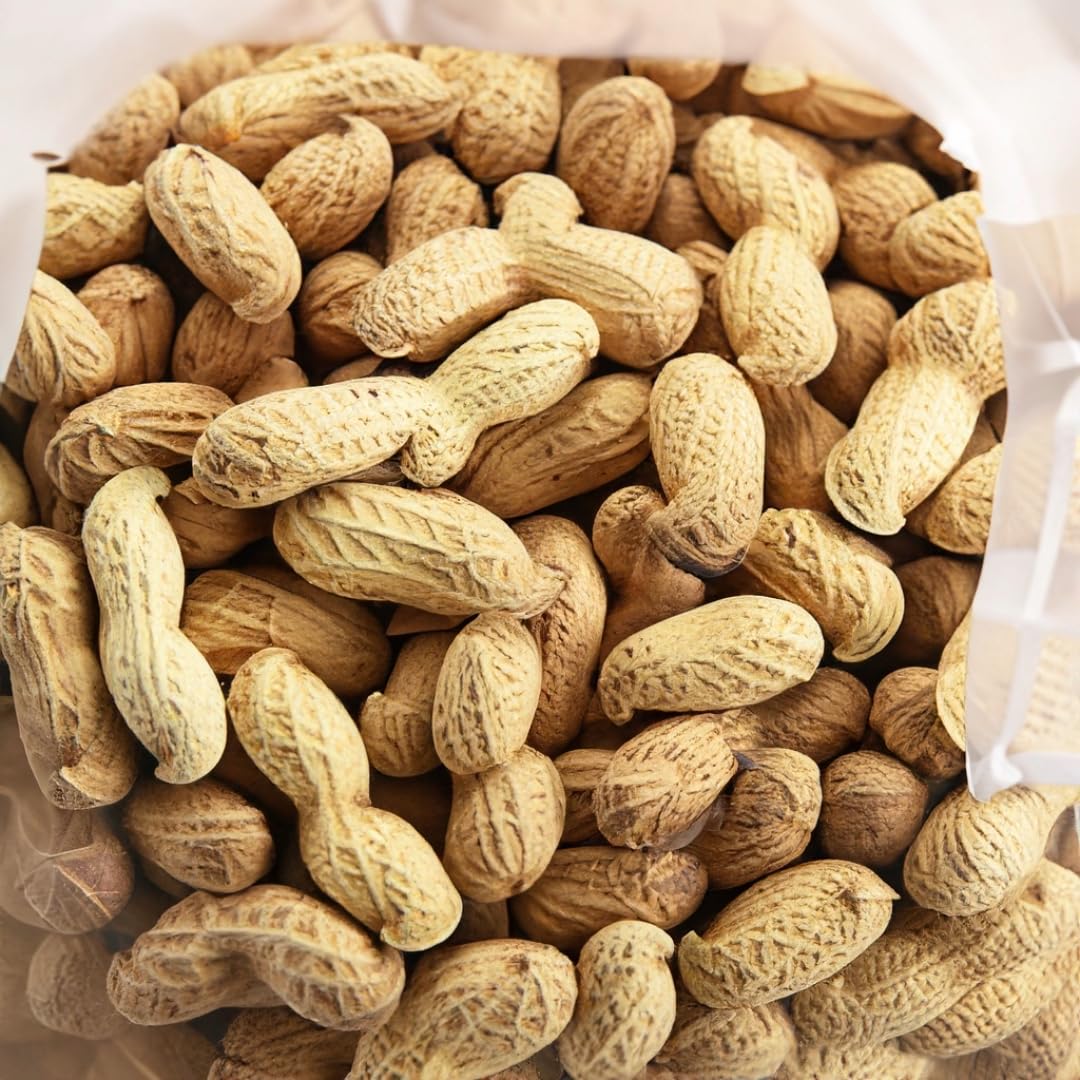 Peanuts in the Shell Jumbo Size 10 LB Bulk Bag K93656