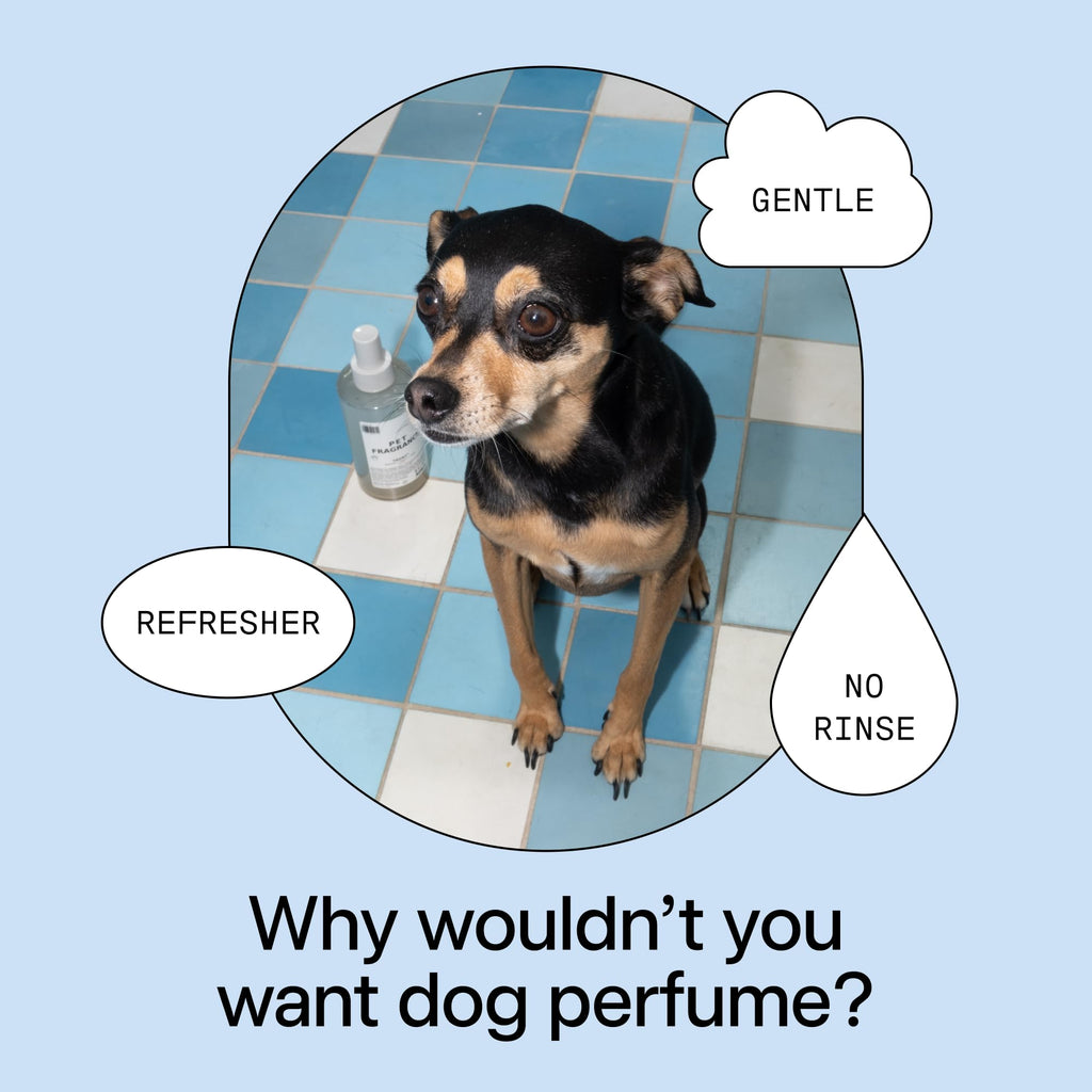 Pet Shampoo & Fragrance Bundle Dog Grooming Set L751592