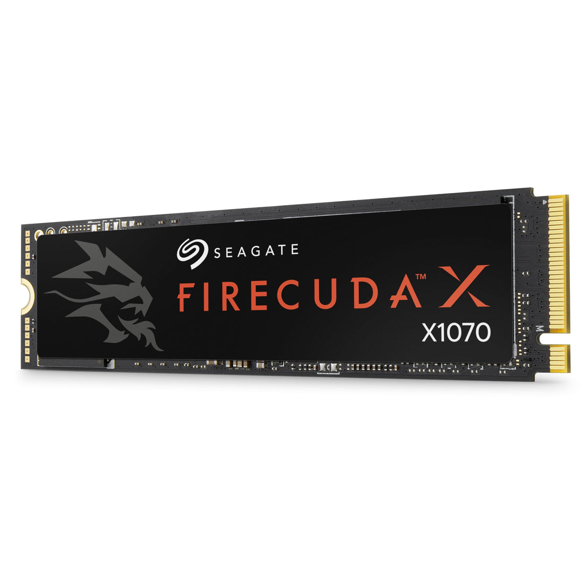2TB M.2 PCIe Gen4 Internal Solid State Drive SSD P6199