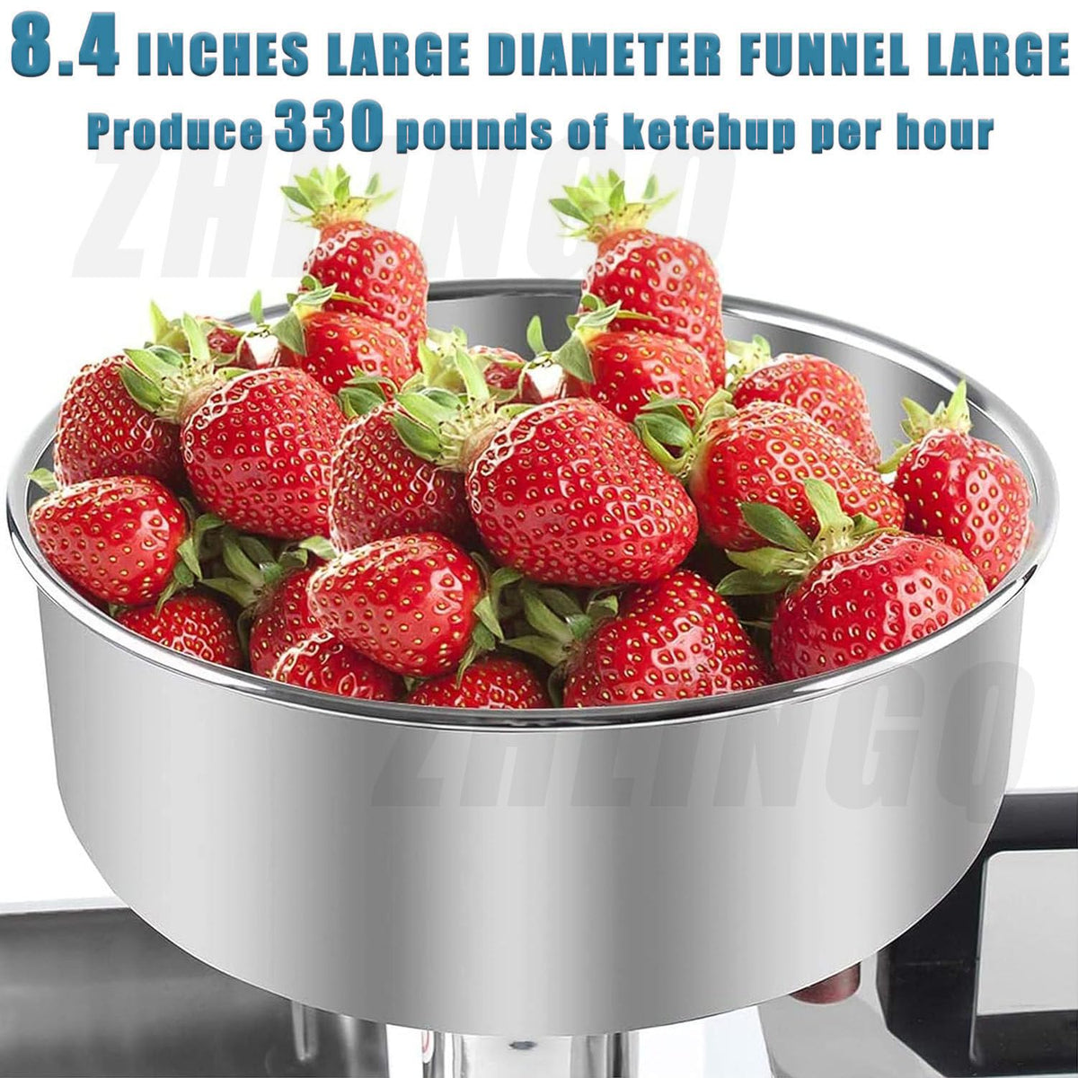 450W Stainless Steel Electric Tomato Strainer D501