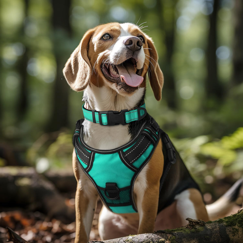 Reflective Adjustable Neoprene Padded Dog Collar W169