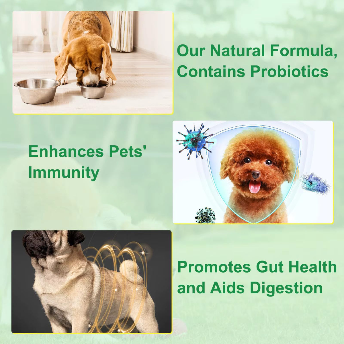 Natural Broad Spectrum Herbal Cleanse Digestive Support Supplement Drops with Probiotics A2030