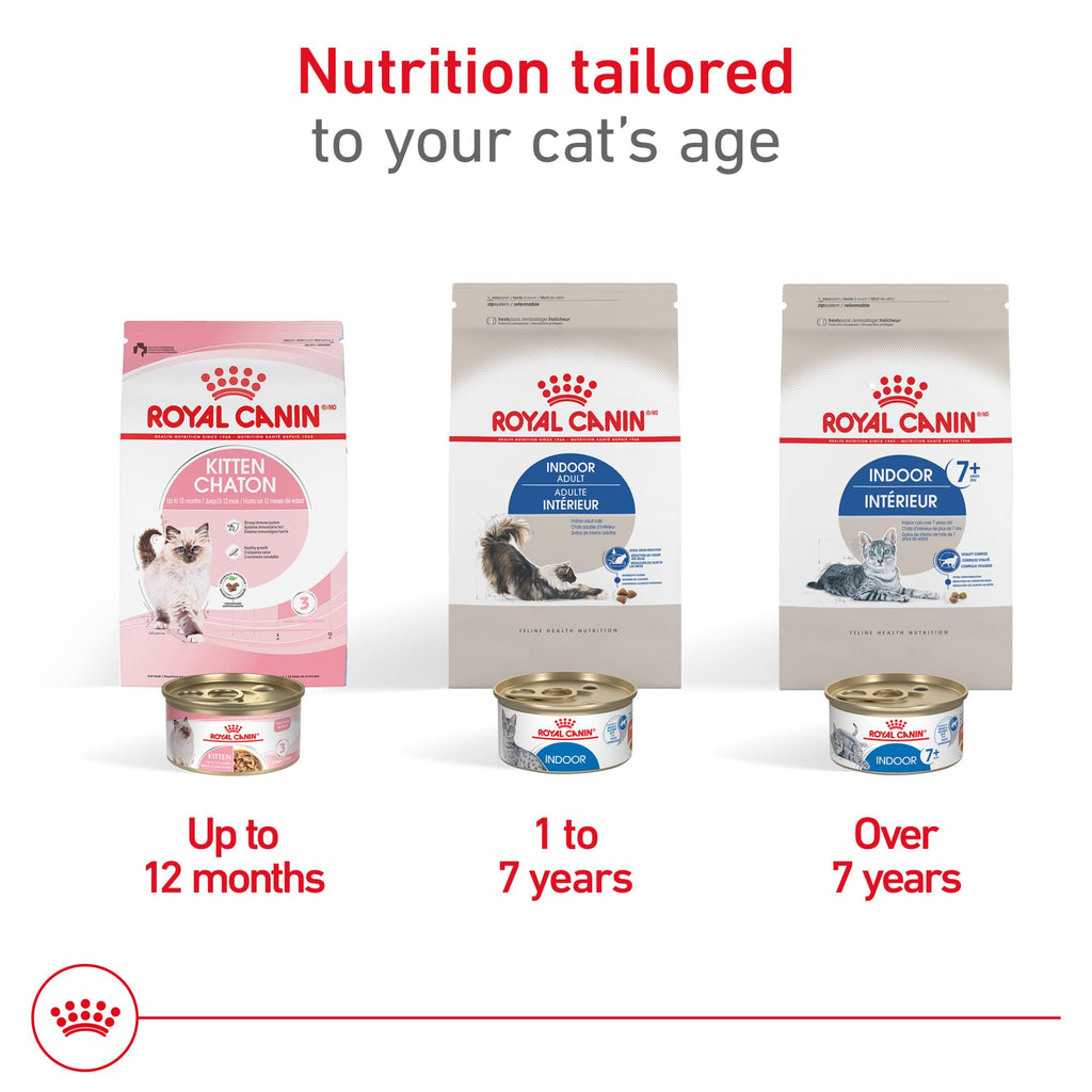 Indoor Adult Dry Cat Food 15 lb Bag N962682