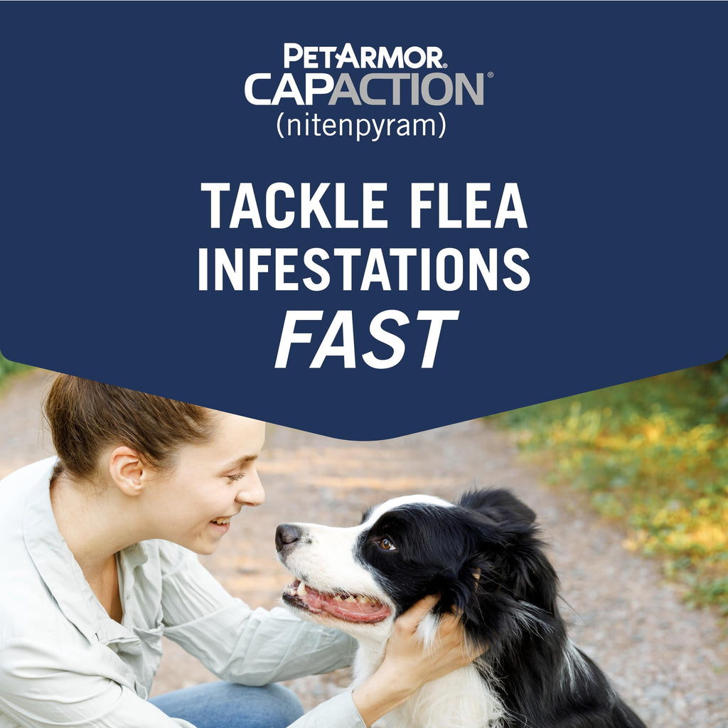 Oral Flea Tablets Dogs 2-25 lbs, Nitenpyram, 6-Dose O4371