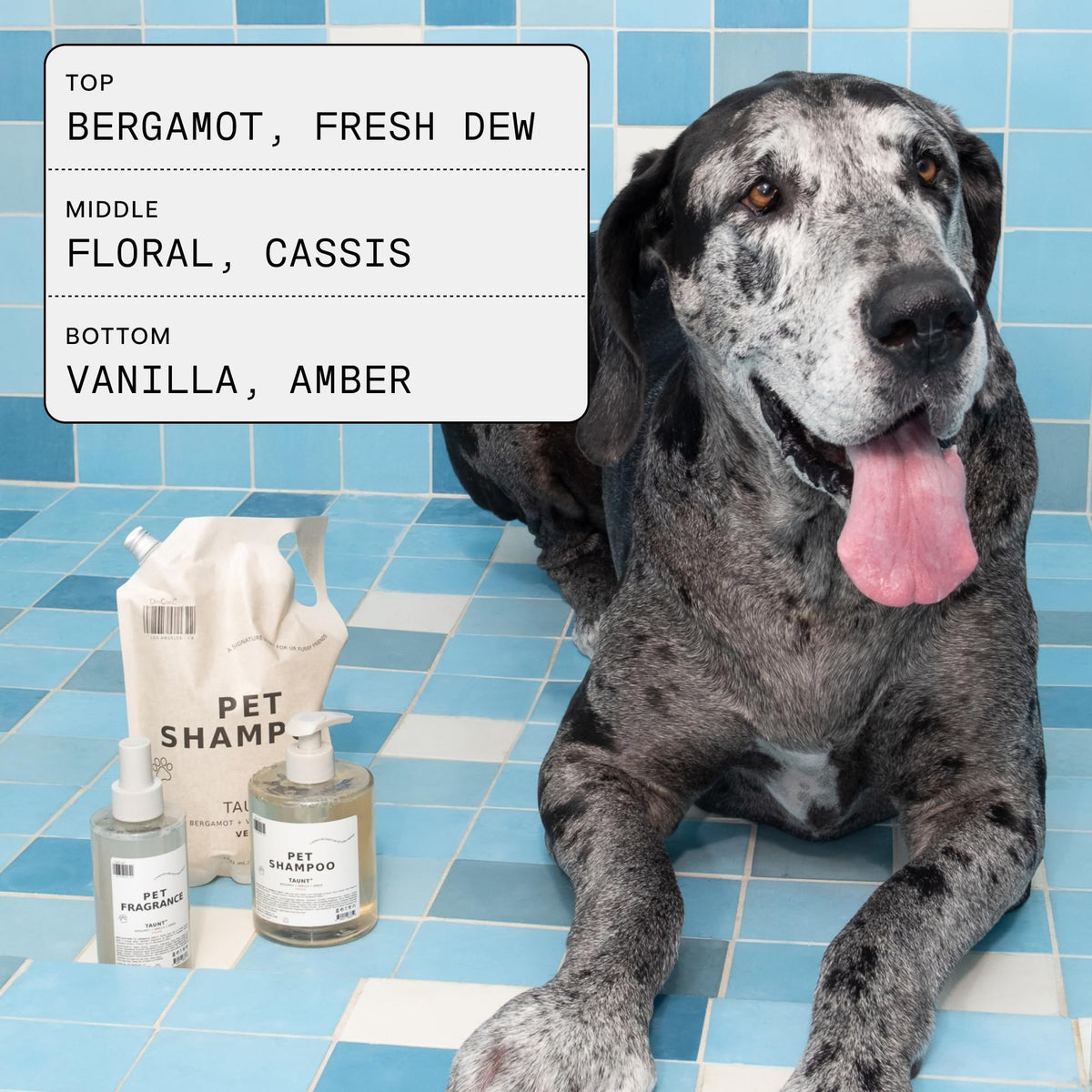 Pet Shampoo & Fragrance Bundle Dog Grooming Set L751592