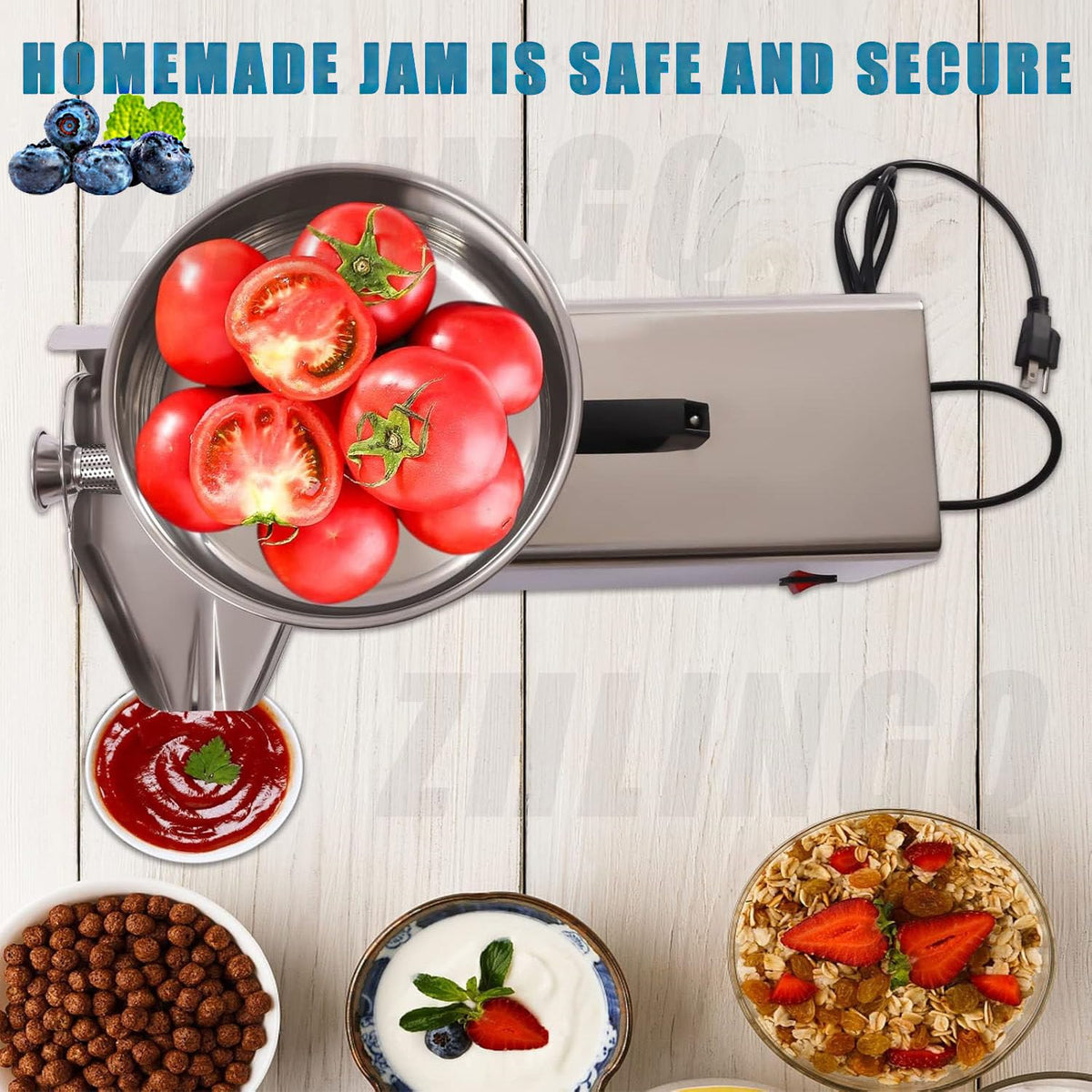 450W Stainless Steel Electric Tomato Strainer D501