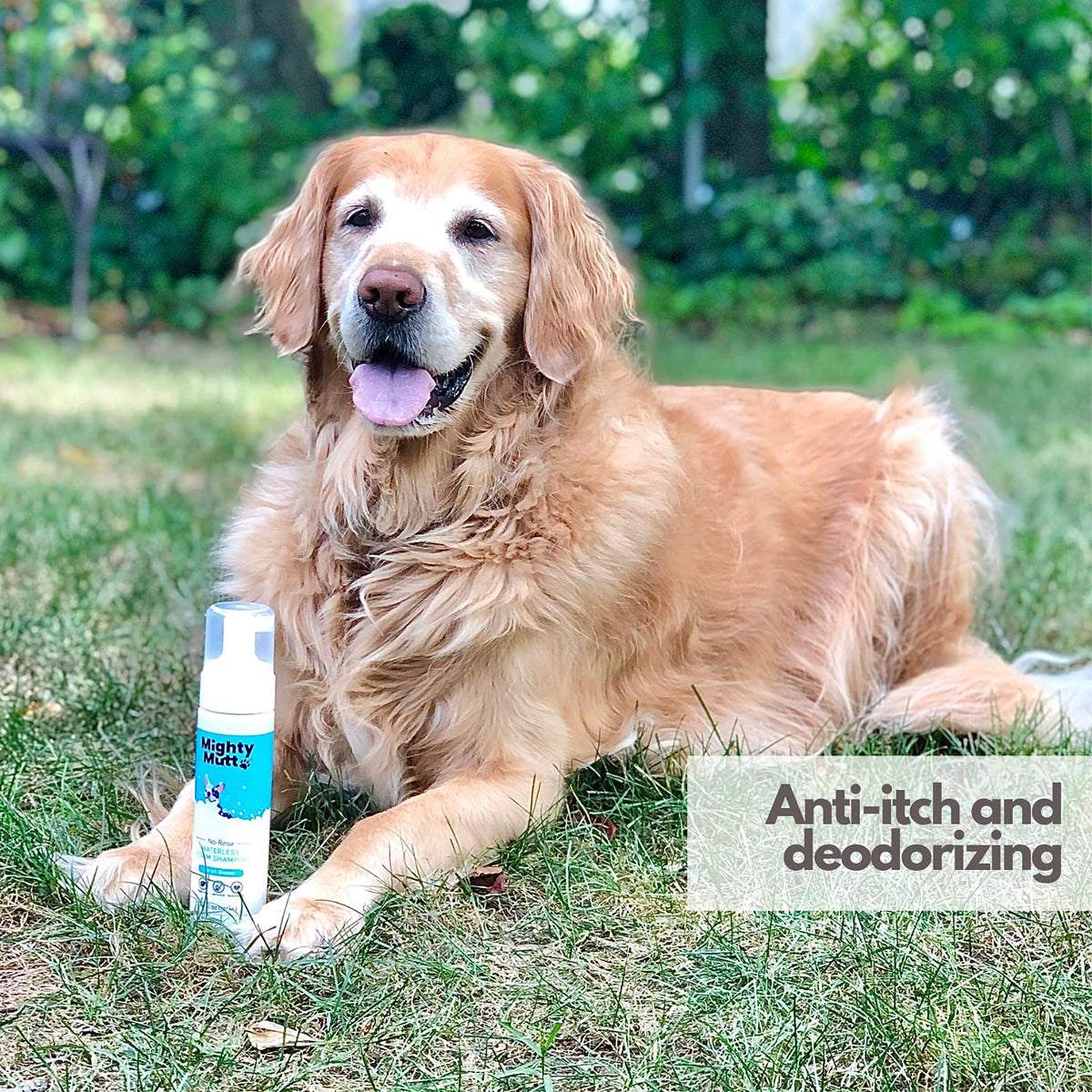Hypoallergenic Waterless Dog Shampoo 8 fl oz K174