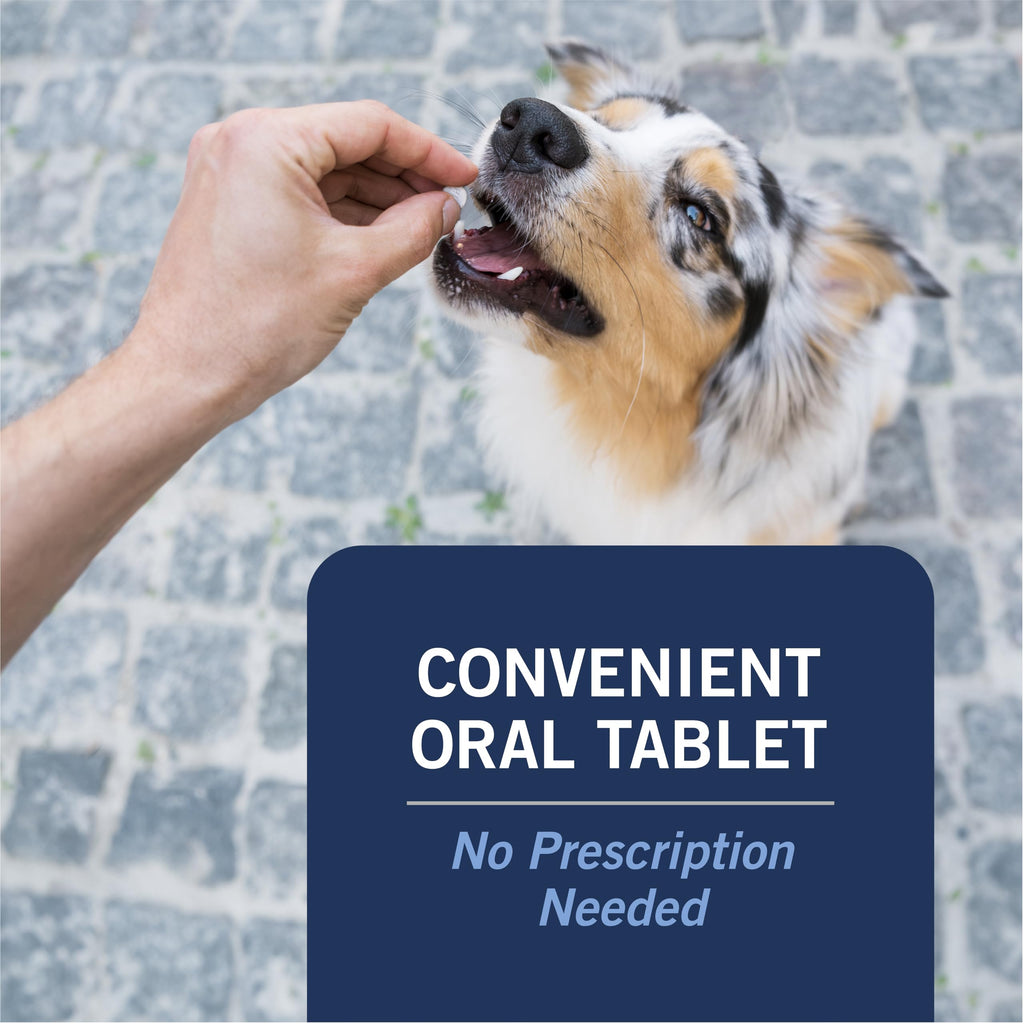 Oral Flea Tablets Dogs 2-25 lbs, Nitenpyram, 6-Dose O4371
