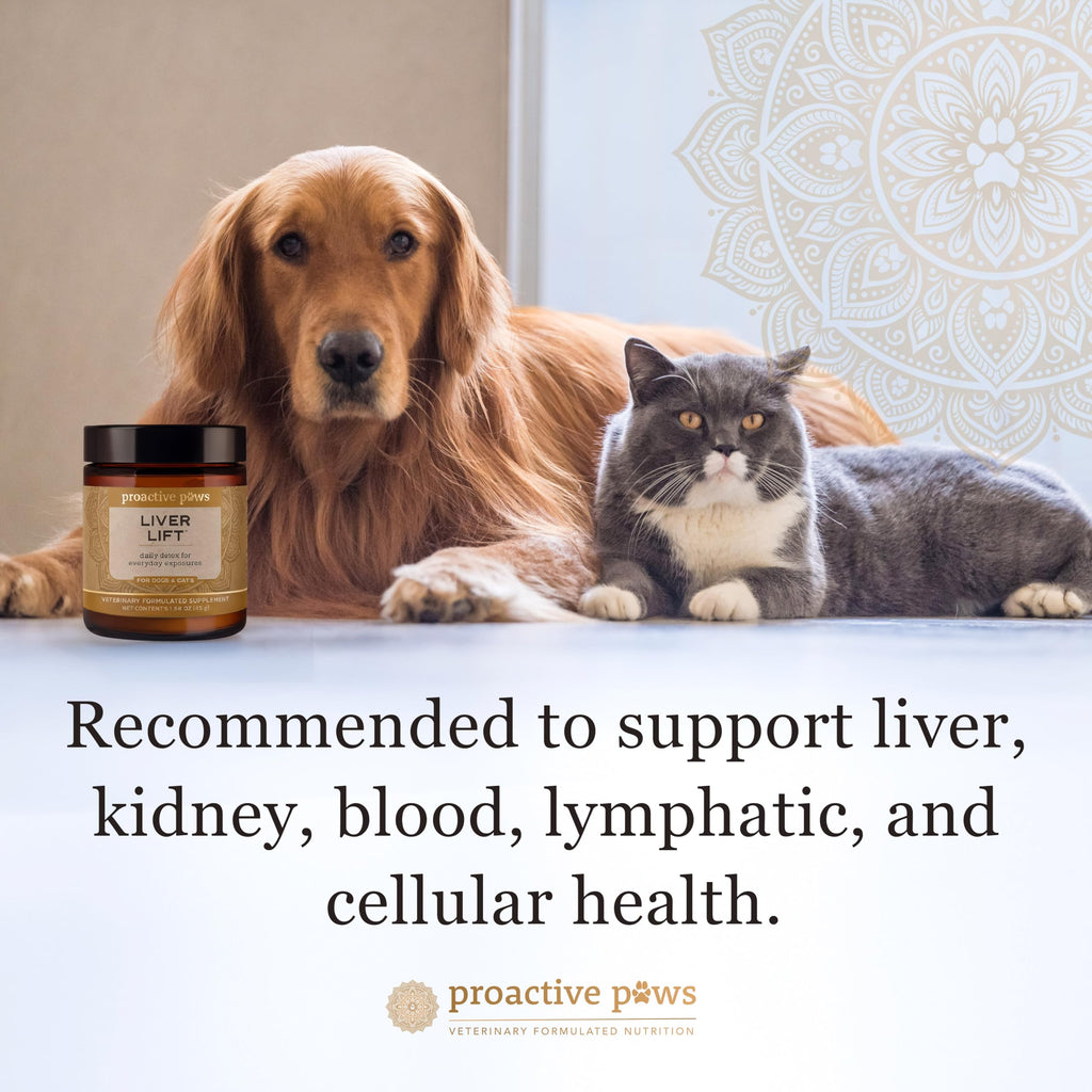 Dog & Cat Daily Detox G395