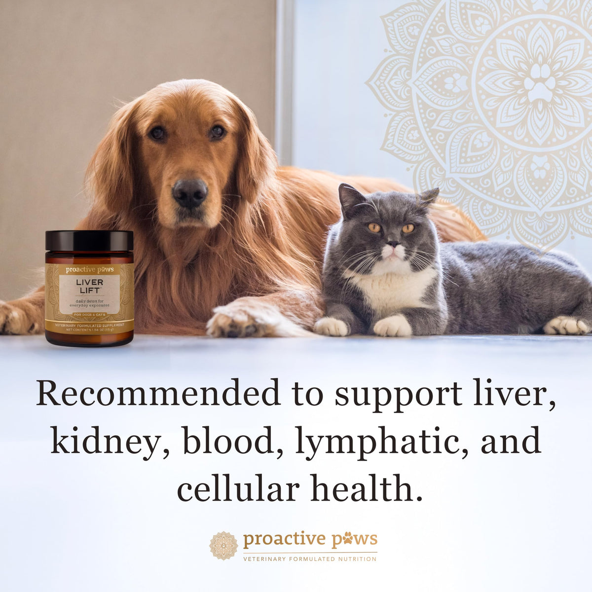 Dog & Cat Daily Detox G395