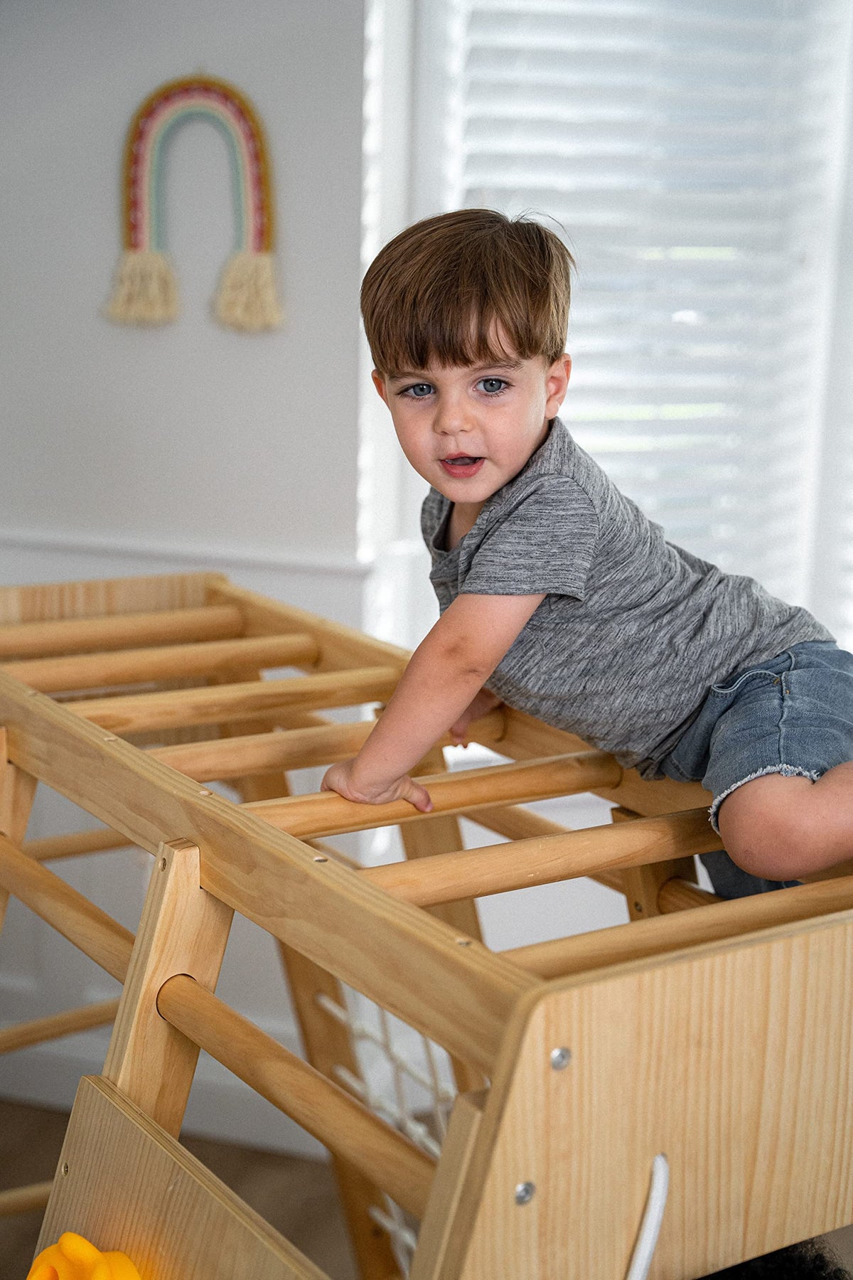 Indoor Jungle Gym for Kids A338657