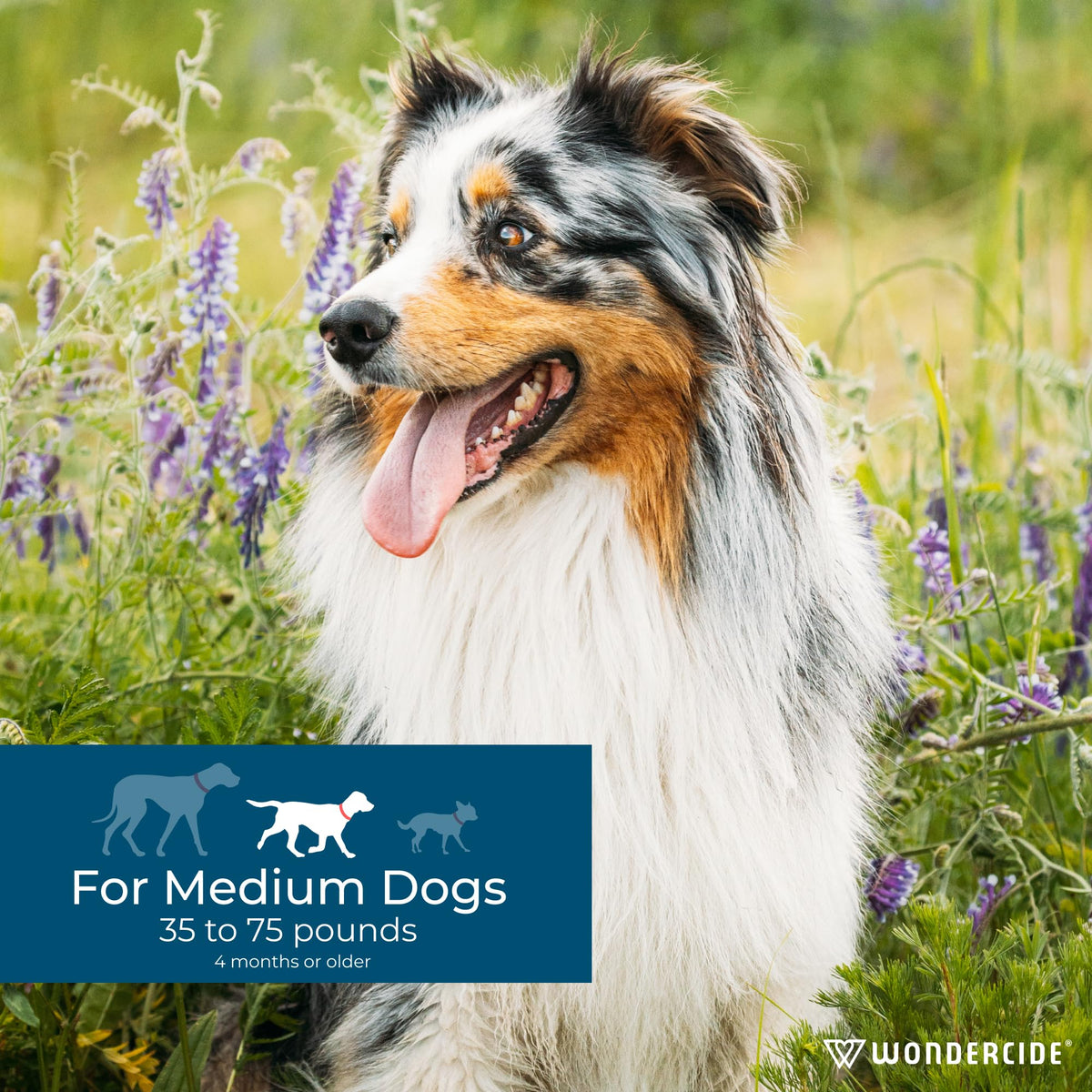 Flea Tick & Mosquito Dog Spot On Medium 3 Tubes of 0.10 oz D9319