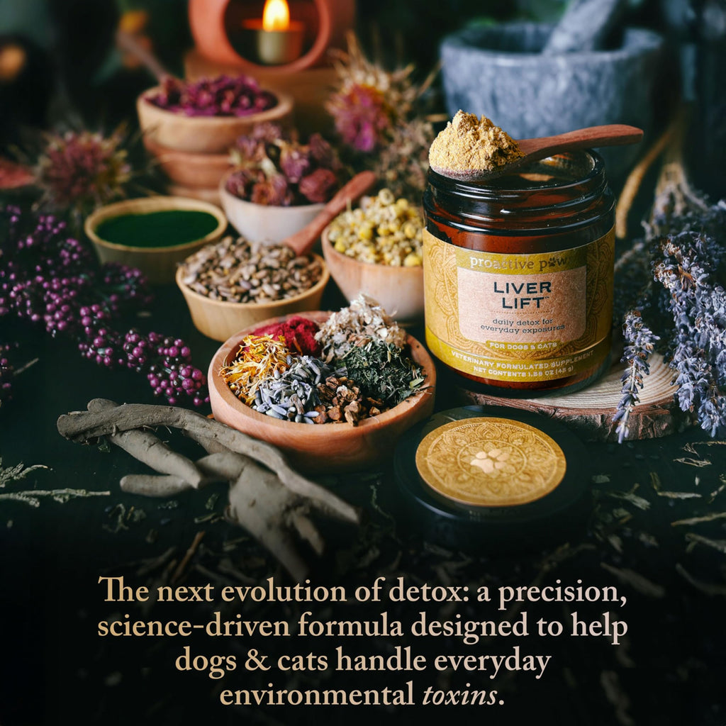 Dog & Cat Daily Detox G395